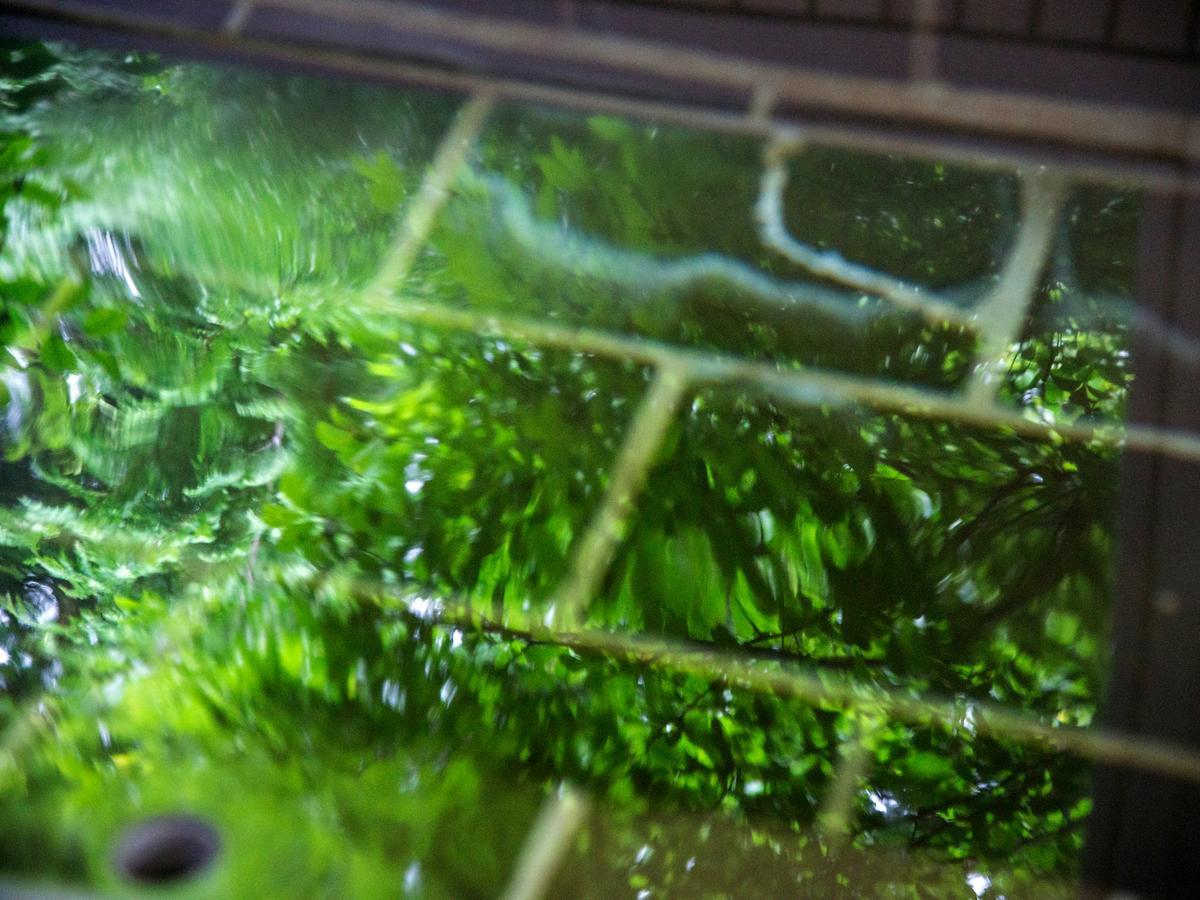 ホテル Tkp レクトーレ箱根強羅 エクステリア 写真